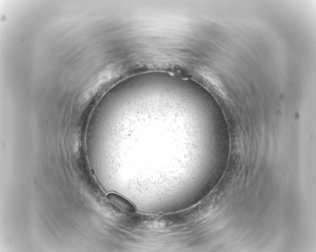 X0000088910687200706221930