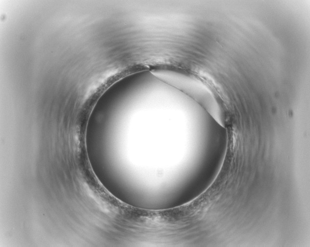 X0000088910688200706221930