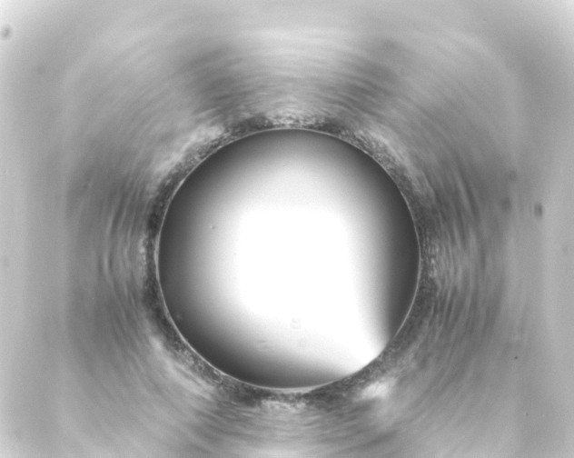 X0000088910690200706221930