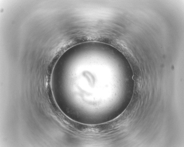 X0000088910691200706221930