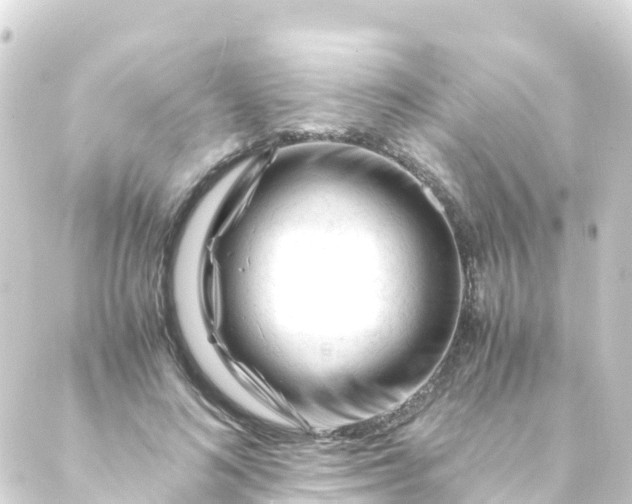 X0000088910692200706221930