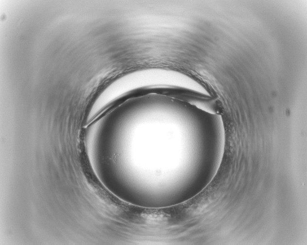 X0000088910693200706221930