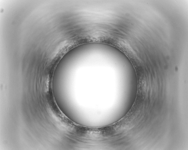 X0000088910694200706221930