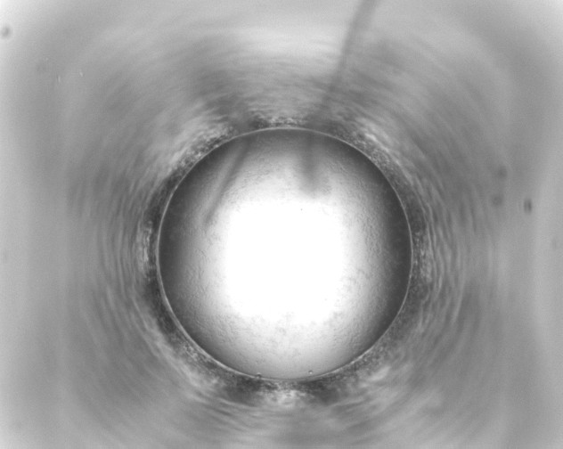 X0000088910695200706221930