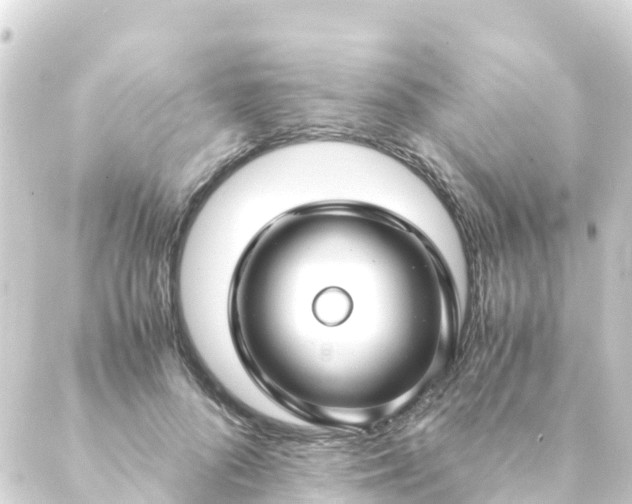 X0000088910696200706221930