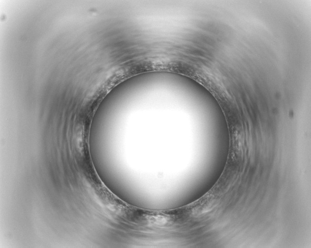 X0000088910698200706221930