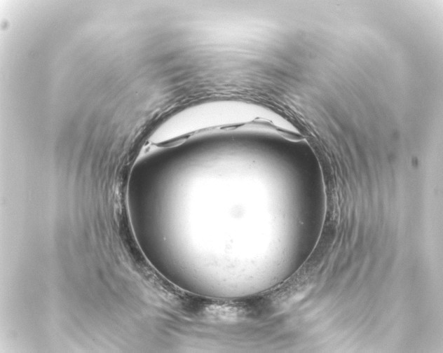 X0000088910699200706221930