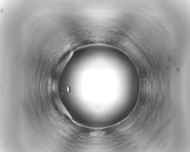 X0000088910700200706221930