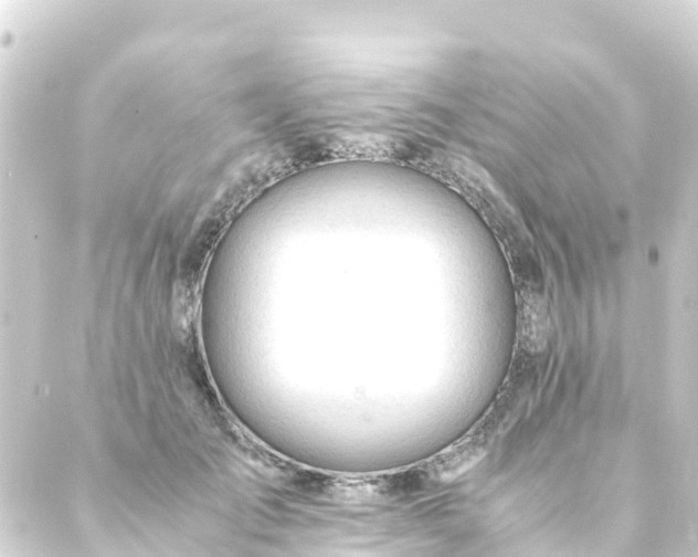 X0000088910701200706221930