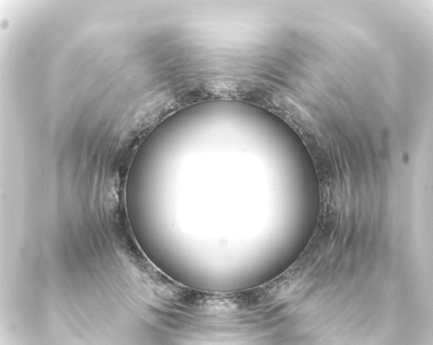 X0000088910702200706221930