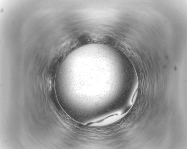 X0000088910703200706221930