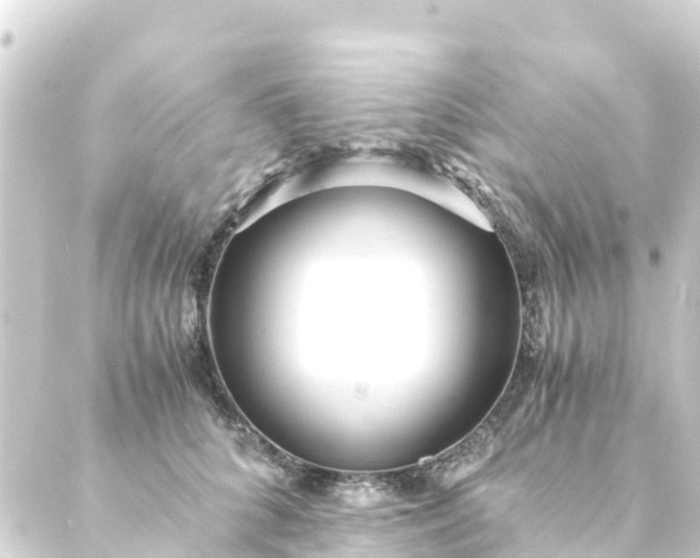 X0000088910704200706221930