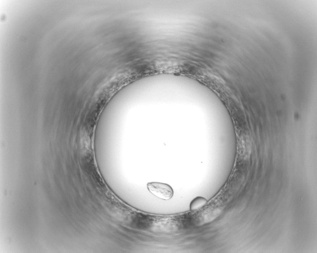 X0000088910705200706221930