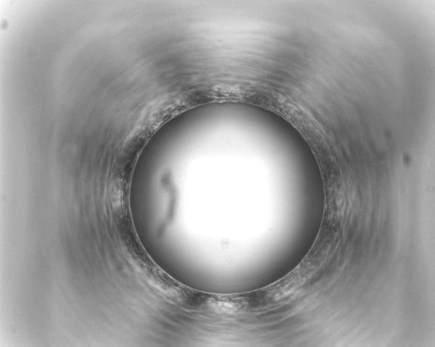 X0000088910706200706221930