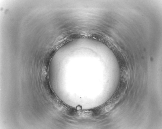 X0000088910707200706221929