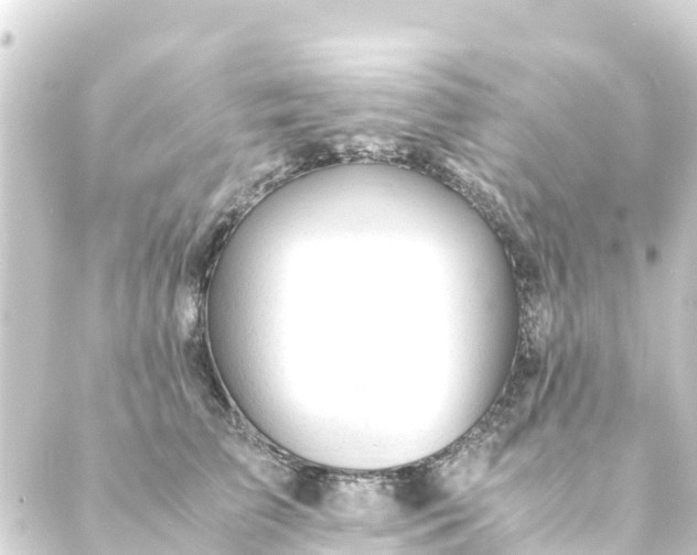 X0000088910709200706221929