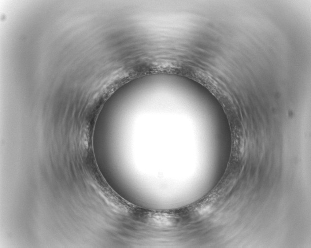 X0000088910710200706221929