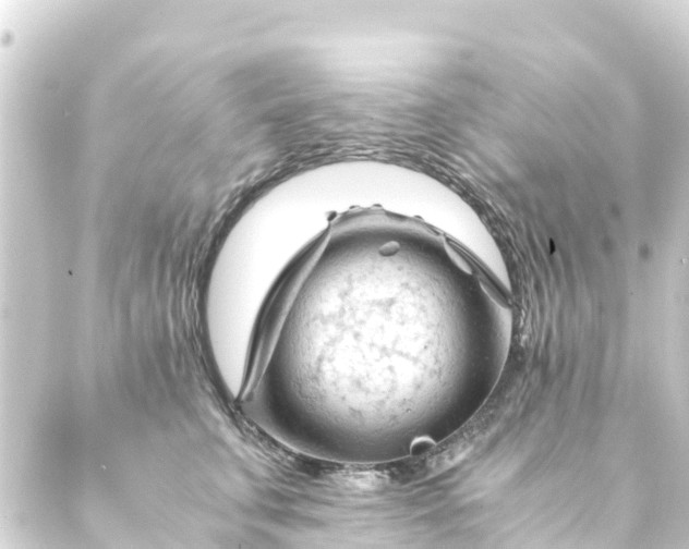 X0000088910711200706221929