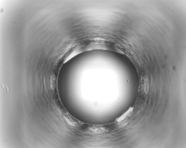 X0000088910712200706221929