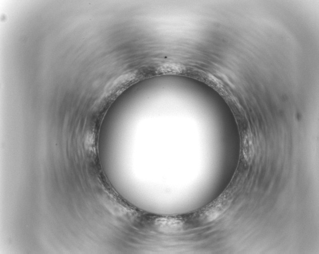 X0000088910714200706221929