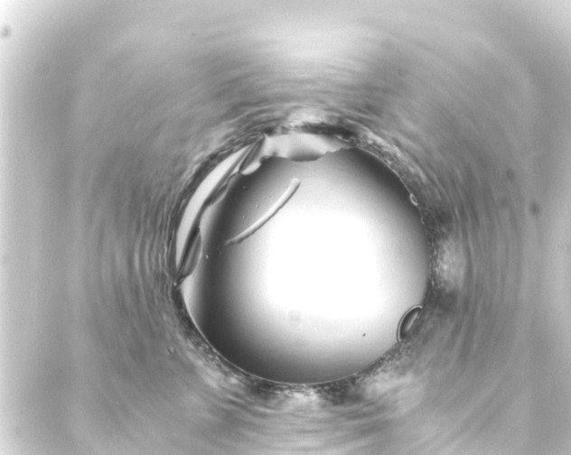 X0000088910715200706221929