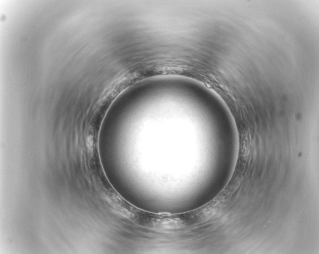 X0000088910716200706221929