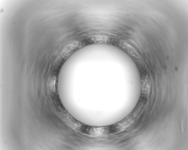 X0000088910717200706221929