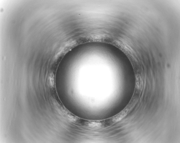 X0000088910718200706221929