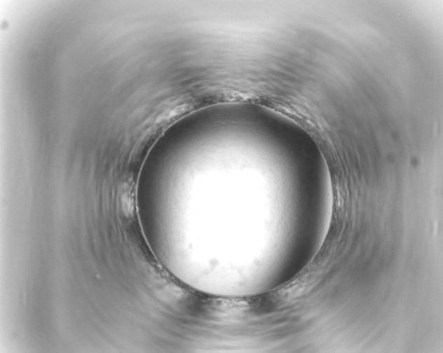 X0000088910719200706221929