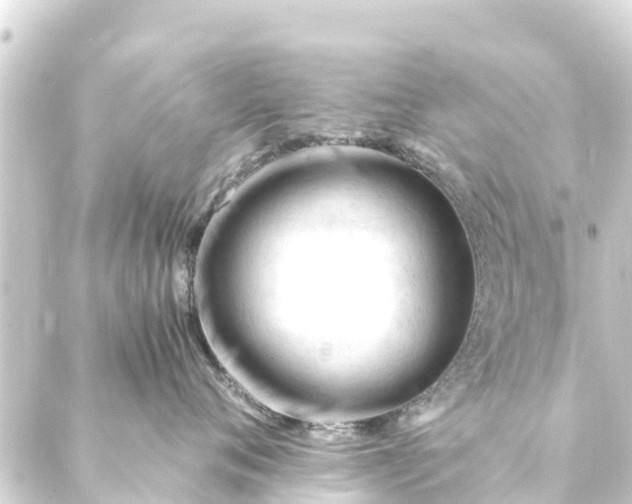 X0000088910720200706221929