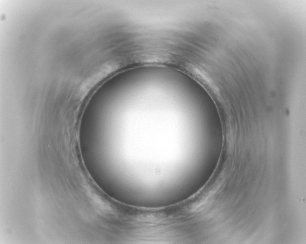 X0000088910721200706221929