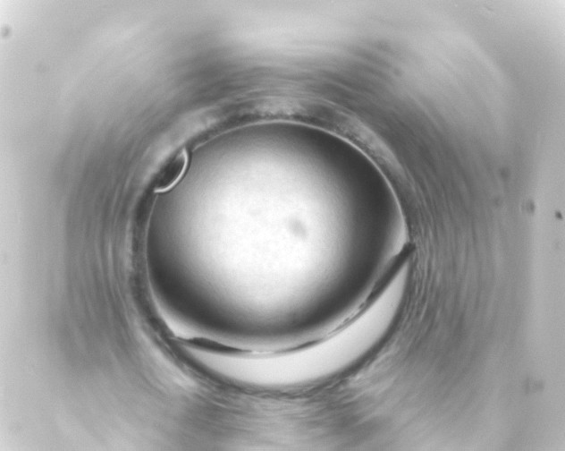 X0000088910722200706221929