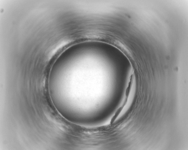 X0000088910723200706221929