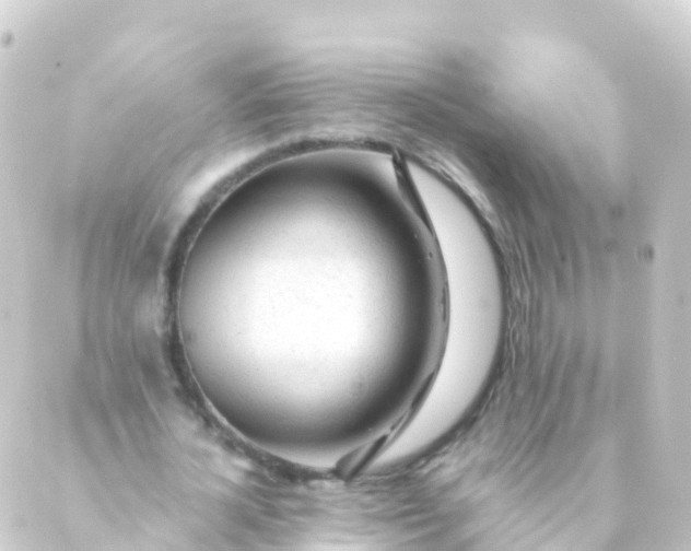 X0000088910724200706221929