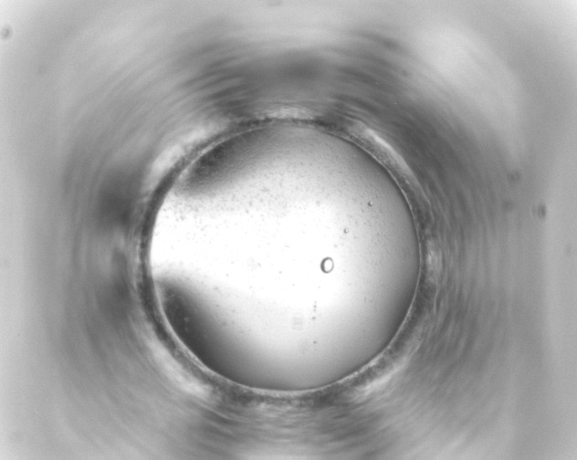 X0000088910725200706221929