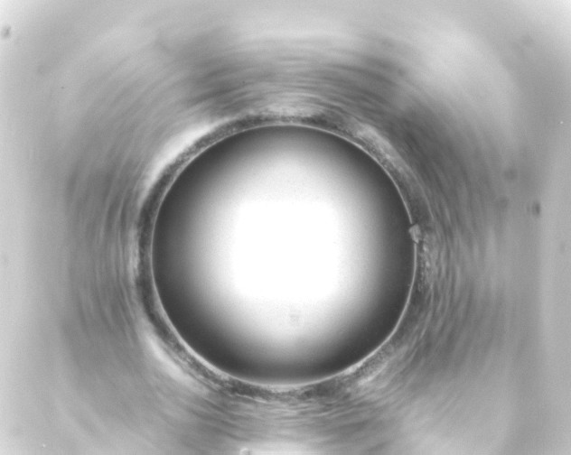 X0000088910726200706221929