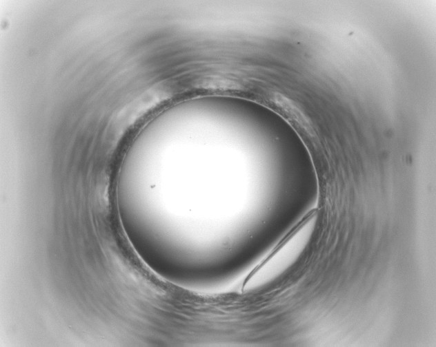 X0000088910727200706221929