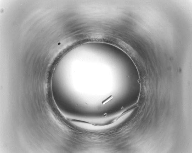 X0000088910728200706221929