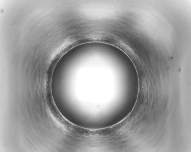 X0000088910730200706221929