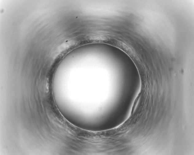 X0000088910731200706221929