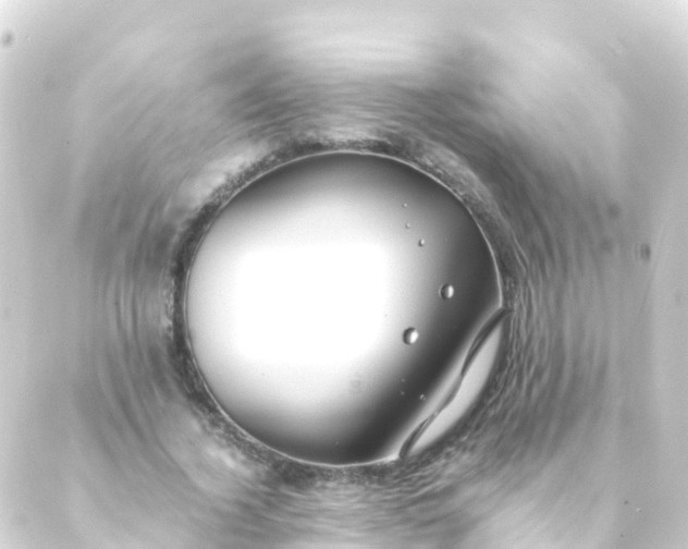 X0000088910732200706221929