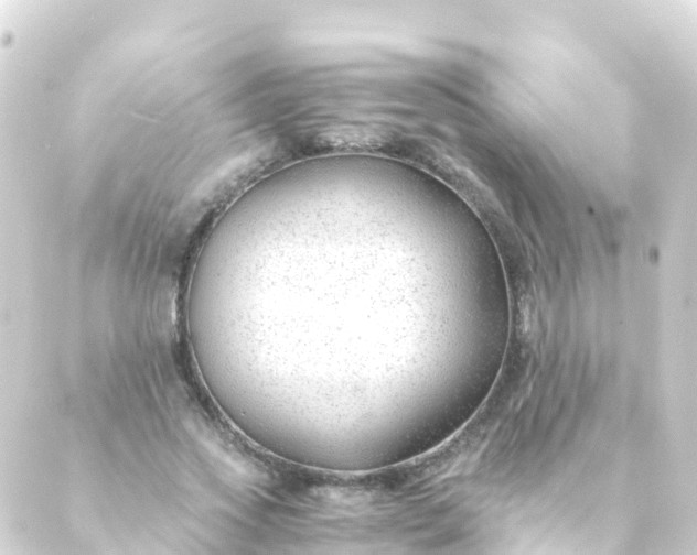 X0000088910733200706221929