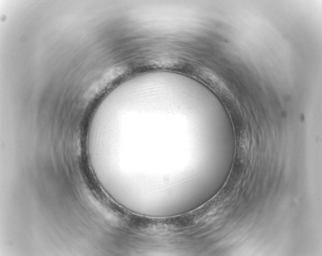 X0000088910734200706221929