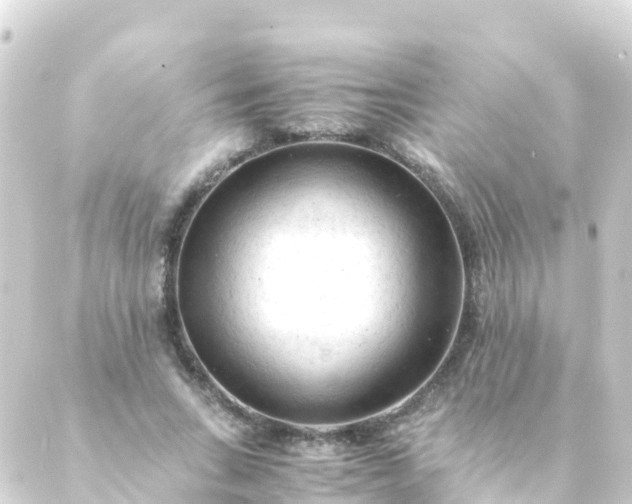 X0000088910735200706221929