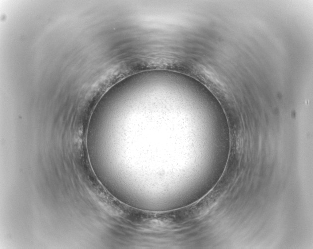 X0000088910737200706221929