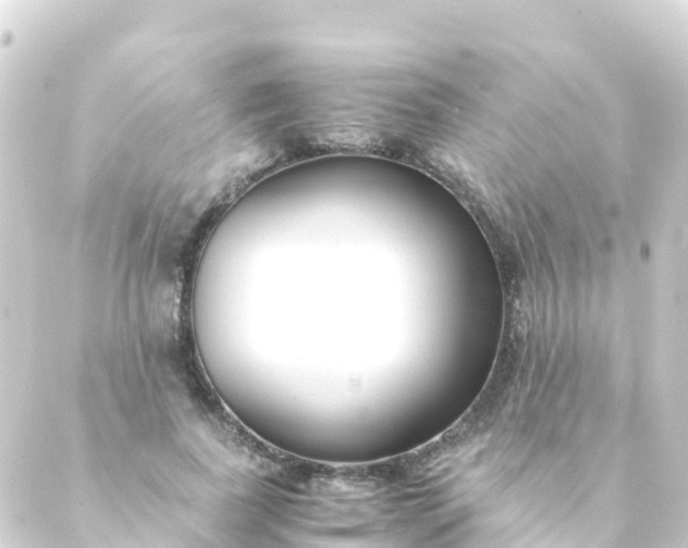 X0000088910739200706221929