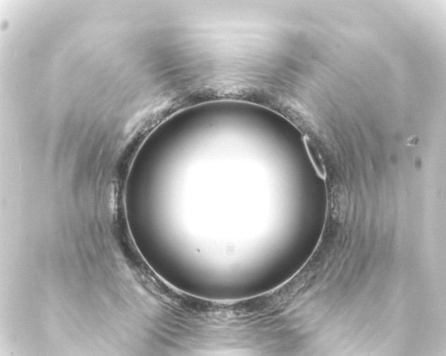 X0000088910740200706221929