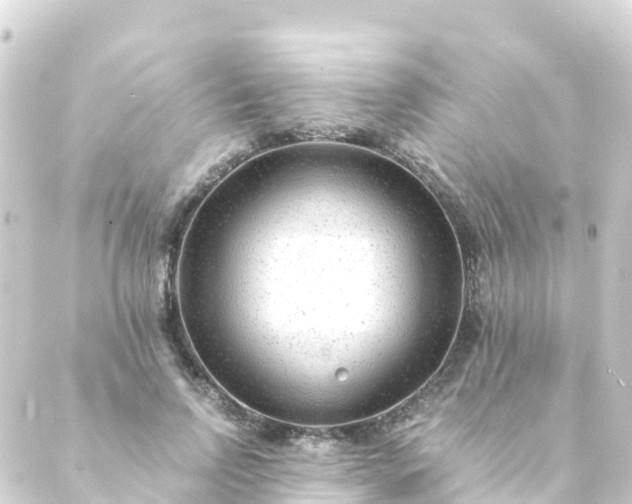 X0000088910742200706221929