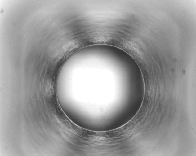 X0000088910743200706221929