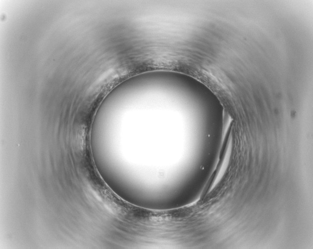 X0000088910744200706221929